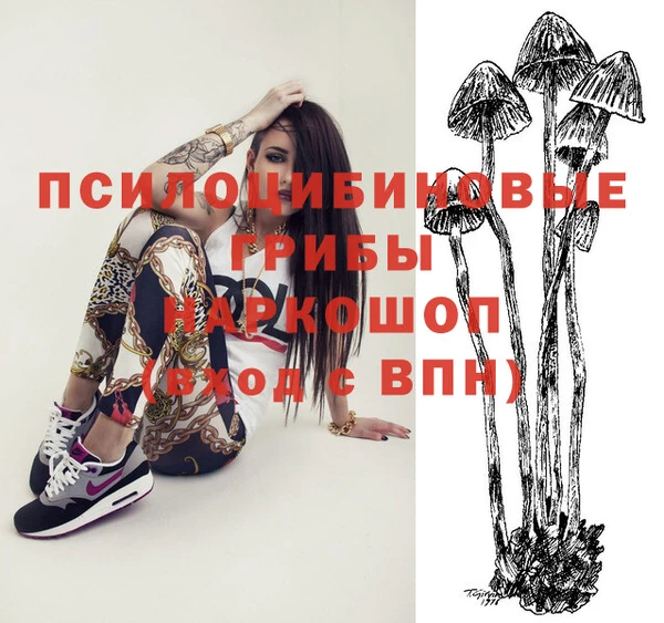 мдпв Каменск-Шахтинский