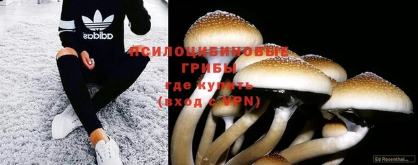 ALPHA-PVP Каменногорск